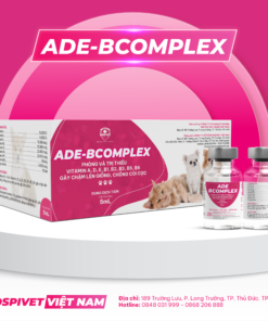 ADE BCOMPLEX
