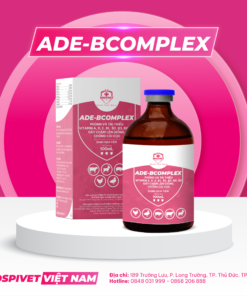 ADE BCOMPLEX
