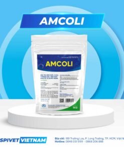AMCOLI