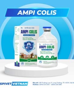 AMPI COLIS