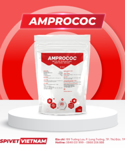 AMPROCOC