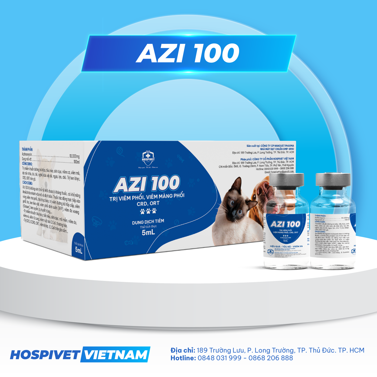 AZI 100-01