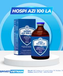 HOSPI AZI 100 LA