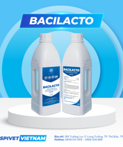 BACILACTO
