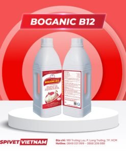 BOGANIC B12