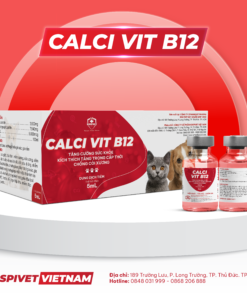 CALCI VIT B12