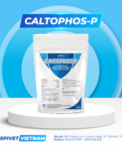 CALTOPHOS - P