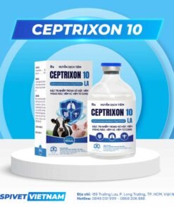 CEPTRIXON 10