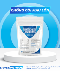 CHỐNG CÒI MAU LỚN