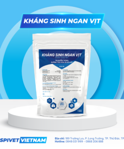KHÁNG SINH NGAN VỊT