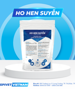 HO HEN SUYỄN