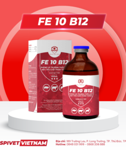 FE 10 B12