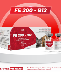 FE 200-B12 (Sao chép)