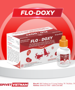 FLO - DOXY