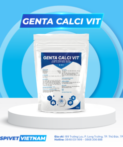 GENTA CALCI VIT