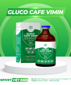 GLUCO CAFE VIMIN