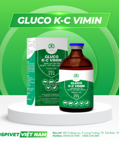 GLUCO K-C VIMIN