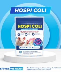 HOSPI COLI