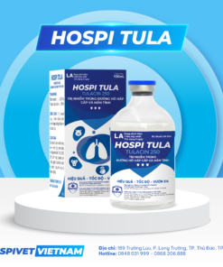 HOSPI TULA