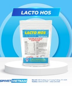 LACTO HOS