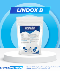 LINDOX B