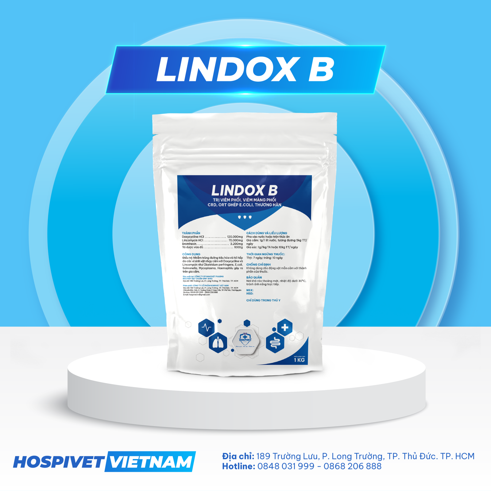 LINDOX B-01