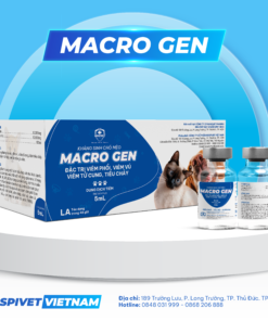 MACRO GEN