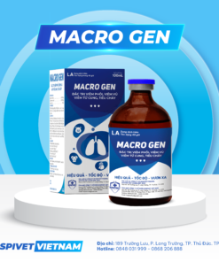 MACRO GEN
