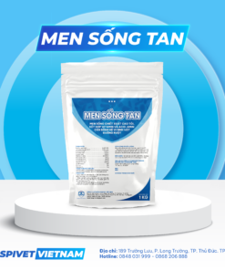 MEN SỐNG TAN