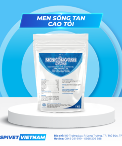 MEN SỐNG CAO TỎI