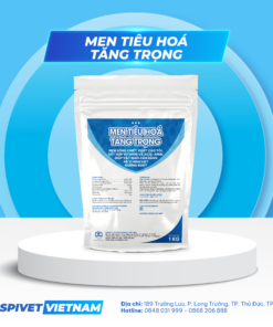 MEN TIÊU HÓA TĂNG TRỌNG