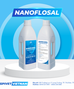 NANOFLOSAL