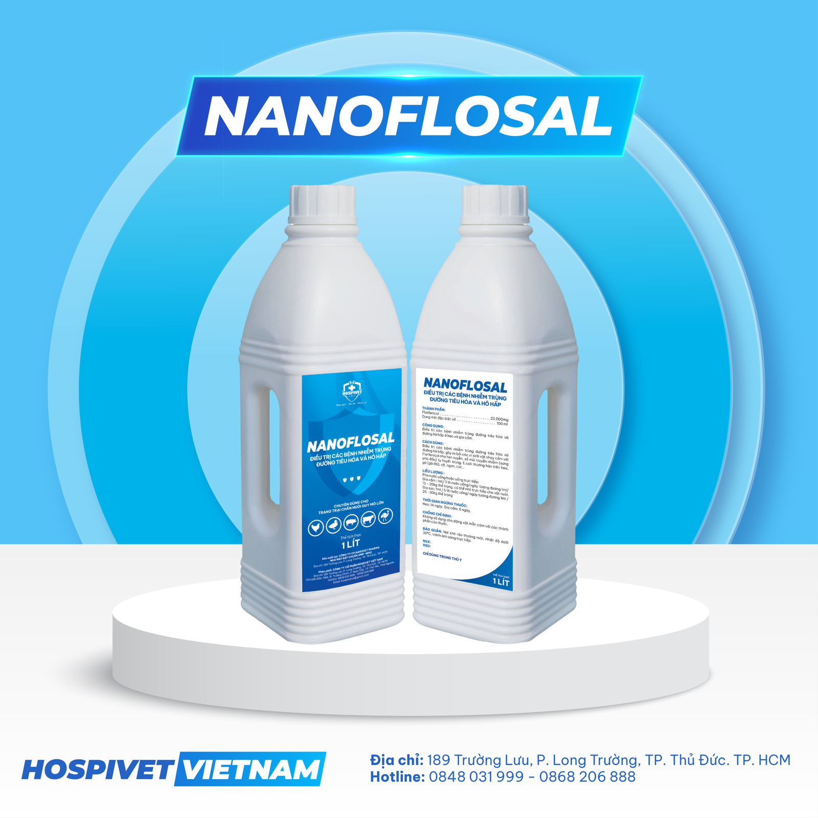 NANOFLOSAL-01