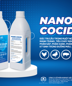 NANO COCID