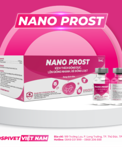 NANO PROST