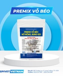PREMIX VỖ BÉO - NỞ MÔNG BUNG, ĐÙI