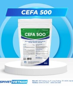 CEFA 500