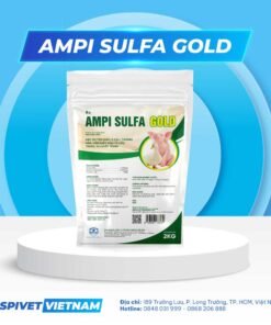 AMPI SULFA GOLD