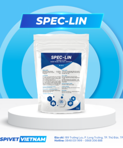 SPEC- LIN