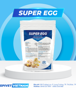 SUPER EGG