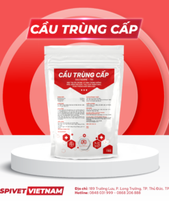 CẦU TRÙNG CẤP
