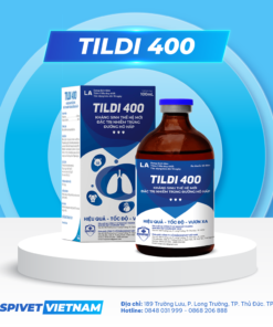 TILDI 400