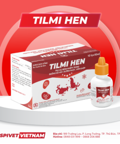 TILMI HEN