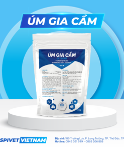 ÚM GIA CẦM