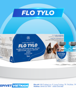 FLO TYLO