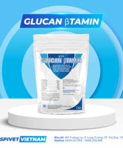 GLUCAN BTAMIN