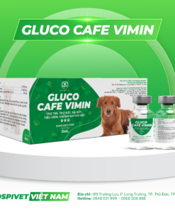 GLUCO CAFE VIMIN