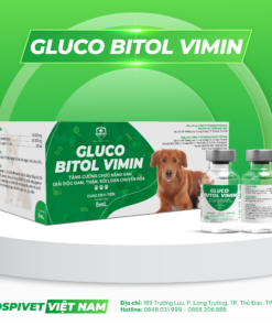 GLUCO BITOL VIMIN
